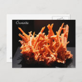 鉱物及び宝石# 164 ポストカード (正面/裏面)