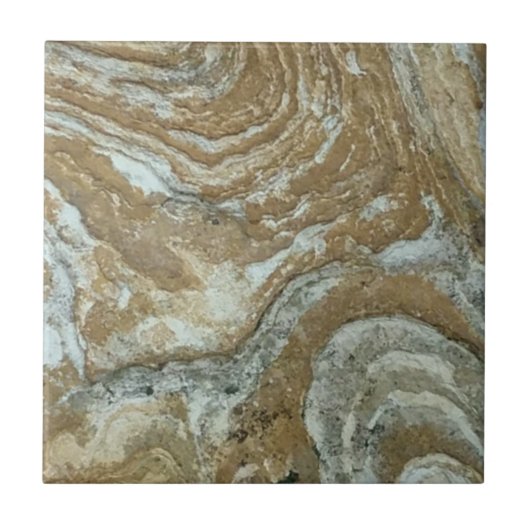 鉱物組織 タイル (正面)