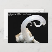 鉱物・宝石第3号 ポストカード (正面/裏面)