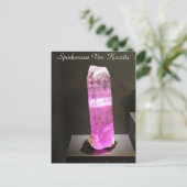 鉱物・宝石# 79 ポストカード (スタンド正面)