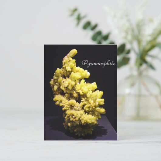 鉱物・宝石# 7 ポストカード (スタンド正面)