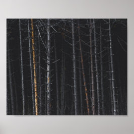 銀と金ゴールドの木の幹 ポスター