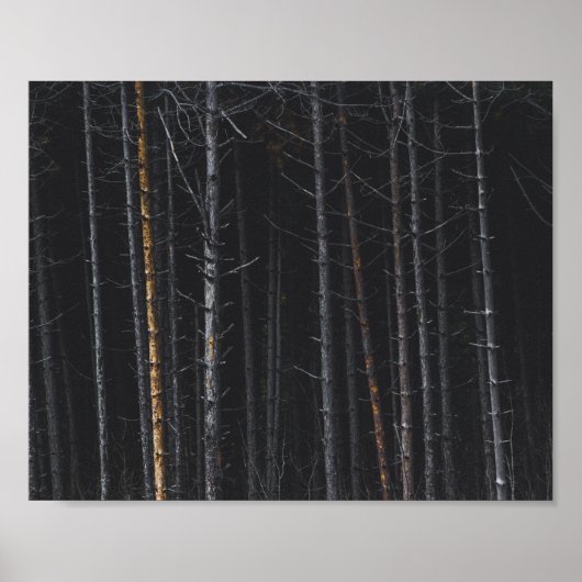 銀と金ゴールドの木の幹 ポスター (正面)