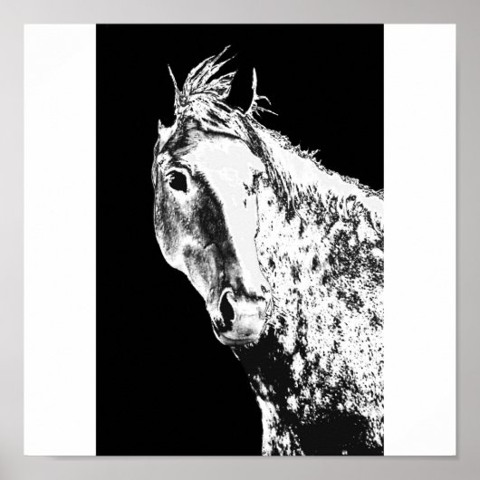 銀の夢 ポスター (正面)