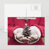 銀の星を持つ松のコーンを持つ手 ポストカード (正面/裏面)