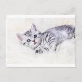 銀の若い虎猫ネコが羊の皮に横たわっている ポストカード (正面)