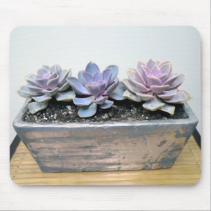 銀のSucculent マウスパッド