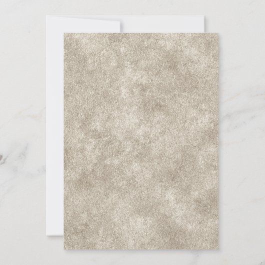 銀エレガントと白の縁ど結婚式 招待状 (裏面)