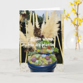 銀カラフル草の多肉植物 カード (黄色い花)