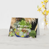 銀カラフル草の多肉植物 カード (黄色い花)