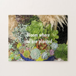 銀カラフル草の多肉植物 ジグソーパズル