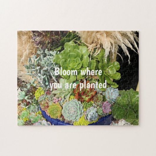 銀カラフル草の多肉植物 ジグソーパズル (横)