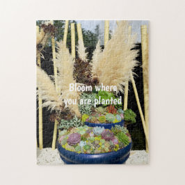 銀カラフル草の多肉植物 ジグソーパズル