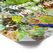 銀カラフル草の多肉植物 ポスター (角)