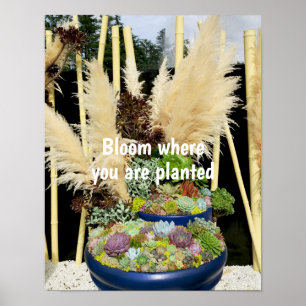 銀カラフル草の多肉植物 ポスター