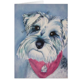 銀シュナウザー