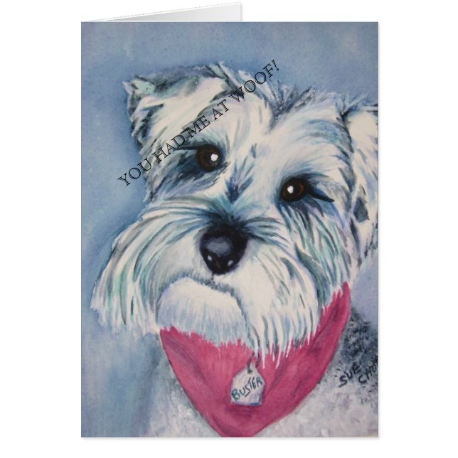 銀シュナウザー (正面)