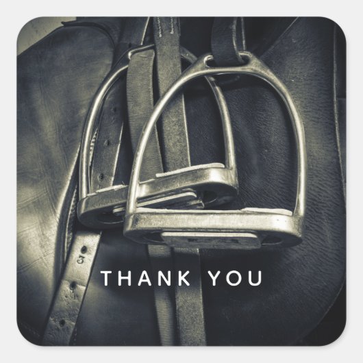 銀スタイリッシュのスターラップオンイングリッシュライディングサドル スクエアシール (正面)