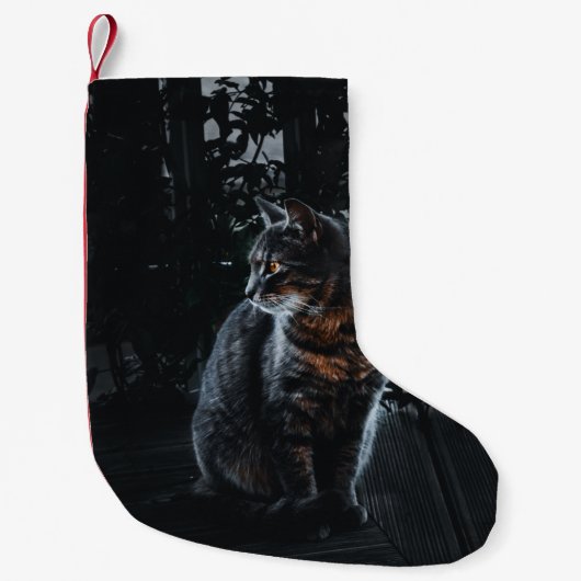 銀タビー猫の選択的焦点 スモールクリスマスストッキング (正面)