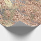 銀バラ金ゴールド抽象芸術溶融面取り金ゴールド ラッピングペーパー (角)