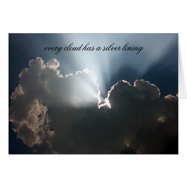 銀ライニング (正面横)