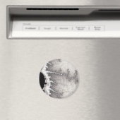 銀断層線磁石 マグネット (インサイチュ (食洗機))