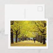 銀杏の木: 東京昭和記念公園 ポストカード (正面/裏面)