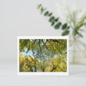 銀杏の葉冠：日本はがき ポストカード (スタンド正面)