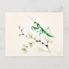 銀杏中国のの上にインクのマンティス ポストカード