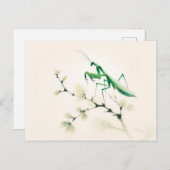 銀杏中国のの上にインクのマンティス ポストカード (正面/裏面)