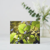 銀杏葉の国：日本 ポストカード (スタンド正面)