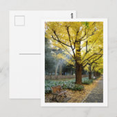 銀杏：明治神宮外苑 ポストカード (正面/裏面)