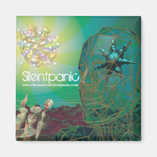 銀板磁石 マグネット