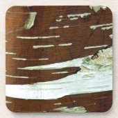 銀樺の木天然樹皮材 コースター (正面)