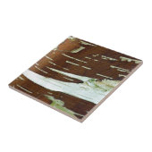 銀樺の木天然樹皮材 タイル (側面)