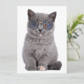 銀河の視線サングラスの星の子猫 (スタンド正面)