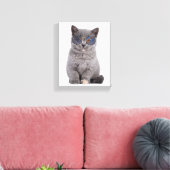 銀河の視線サングラスの星の子猫 キャンバスプリント (インサイチュ (リビング))