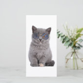 銀河の視線サングラスの星の子猫 サンキューカード (スタンド正面)