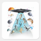 銀河猫水泳Tシャツ | かわいい宇宙猫 スクエアシール (正面)