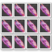 銀河系アクエリアス星座〔占星術の〕十二宮図徴候 シール (正面)