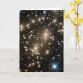 銀河系クラスタベル370 カード (黄色い花)