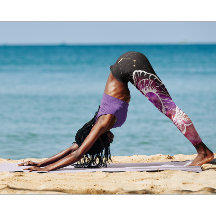 銀河系ピンクパープルアリスコンステレーション〔占星術の〕十二宮図標識