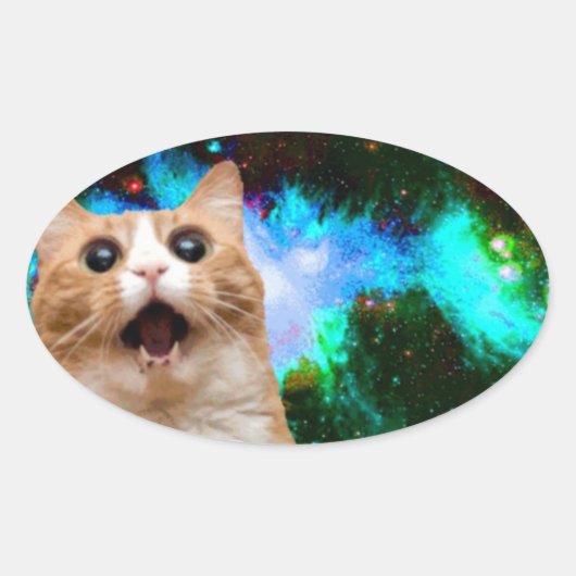 銀河系宇宙猫 楕円形シール (正面)