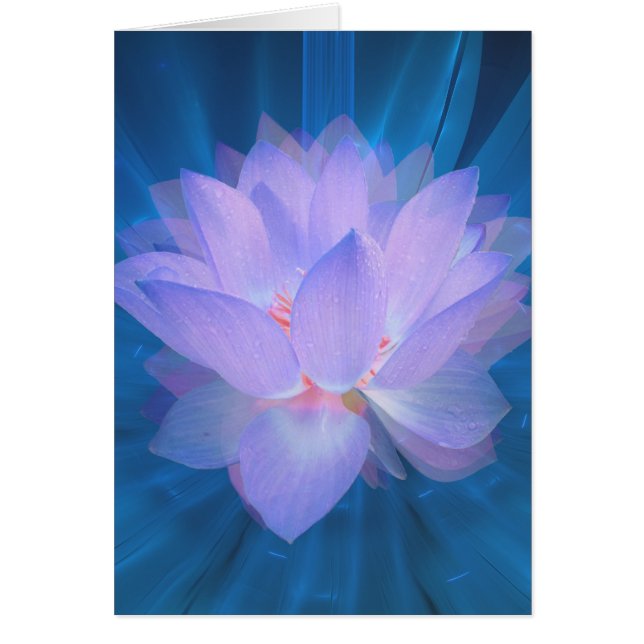 銀河系花 (正面)