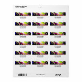 銀河系 ラベル (フルシート)