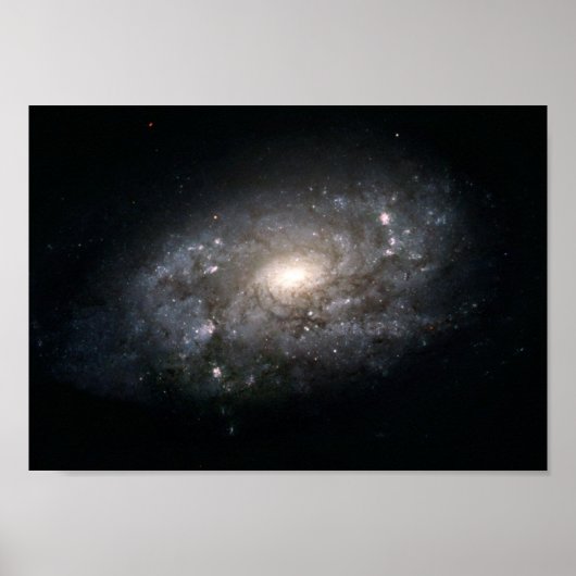 銀河系NGC 3949：天の川に似た銀河系 ポスター (正面)