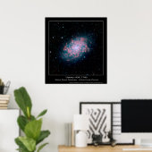銀河系NGC 7793 – スピッツァー宇宙望遠鏡 – インフラ ポスター (ホームオフィス)