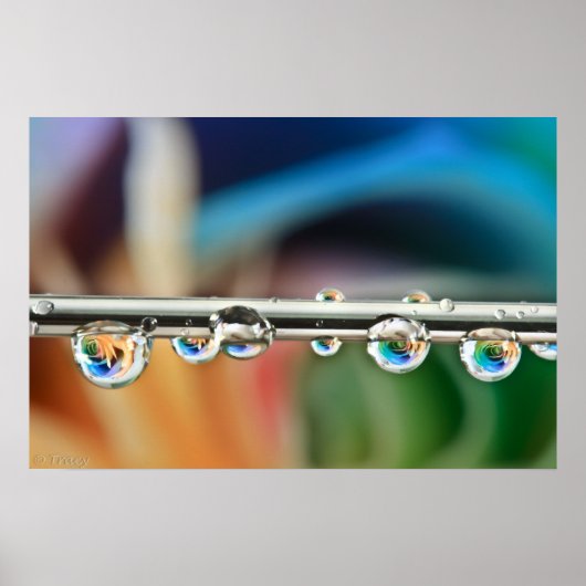 銀滴ポスター ポスター (正面)