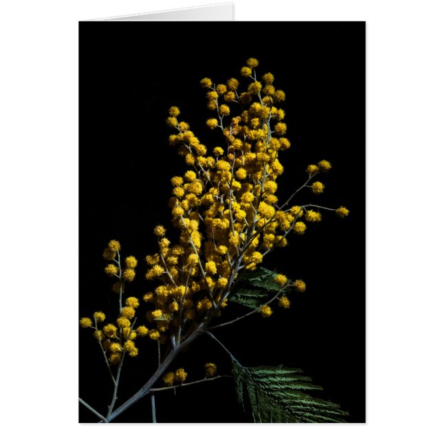 銀色のガラガラ (正面)