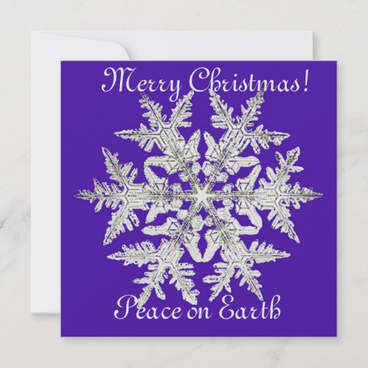 銀色のクリスマスの雪の結晶が鮮やかな紫色の上で シーズンカード (正面)